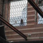 Vraj-Yatra-2014- (1231)